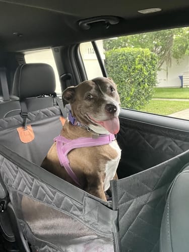 Customer photo review of MrBarks Single Seat Cover