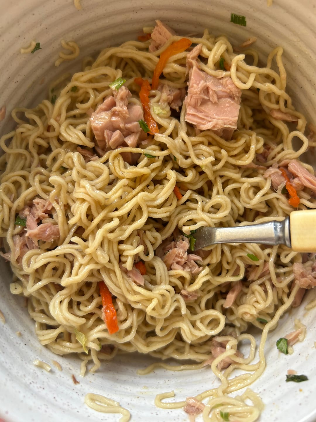 Customer photo review of V1 - GOCHI High Protein Ramen