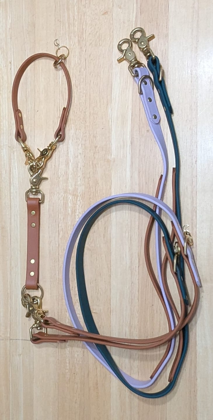 Customer photo review of Multi Dog Attachment