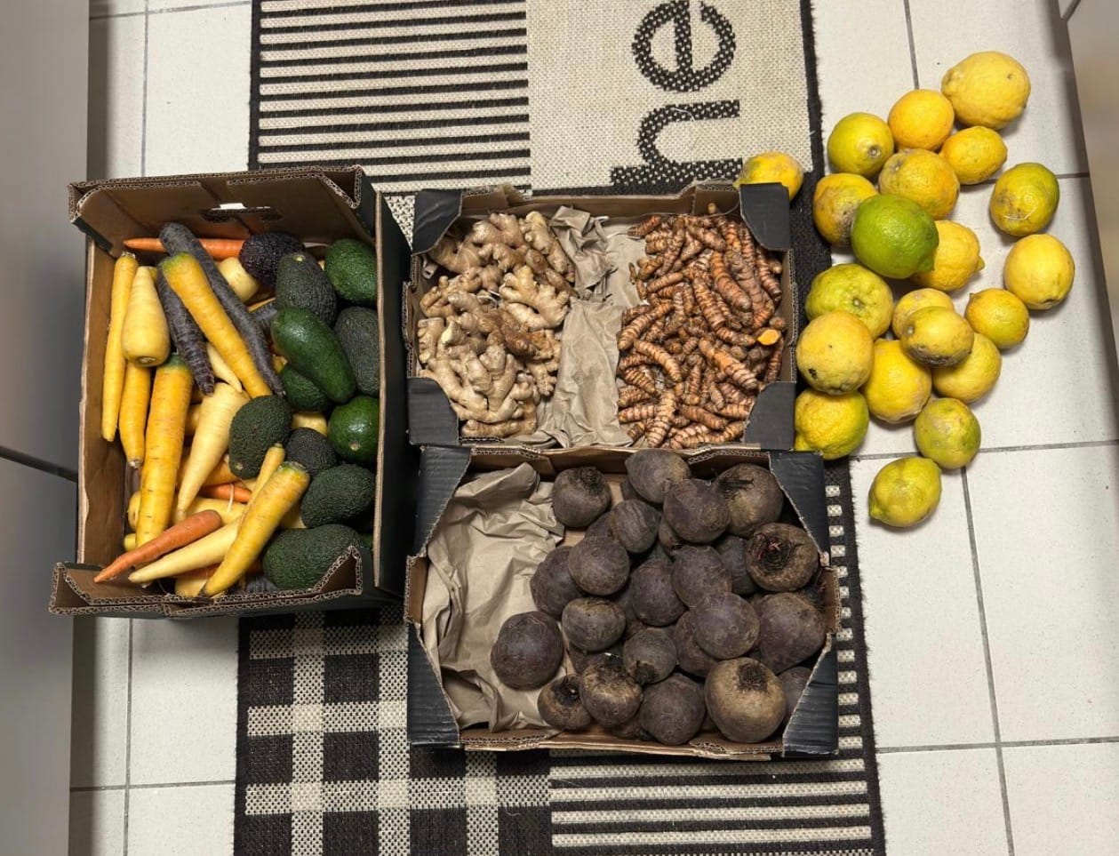 Customer photo review of Rote Bete samenfest Bio & Demeter Familie Schoof