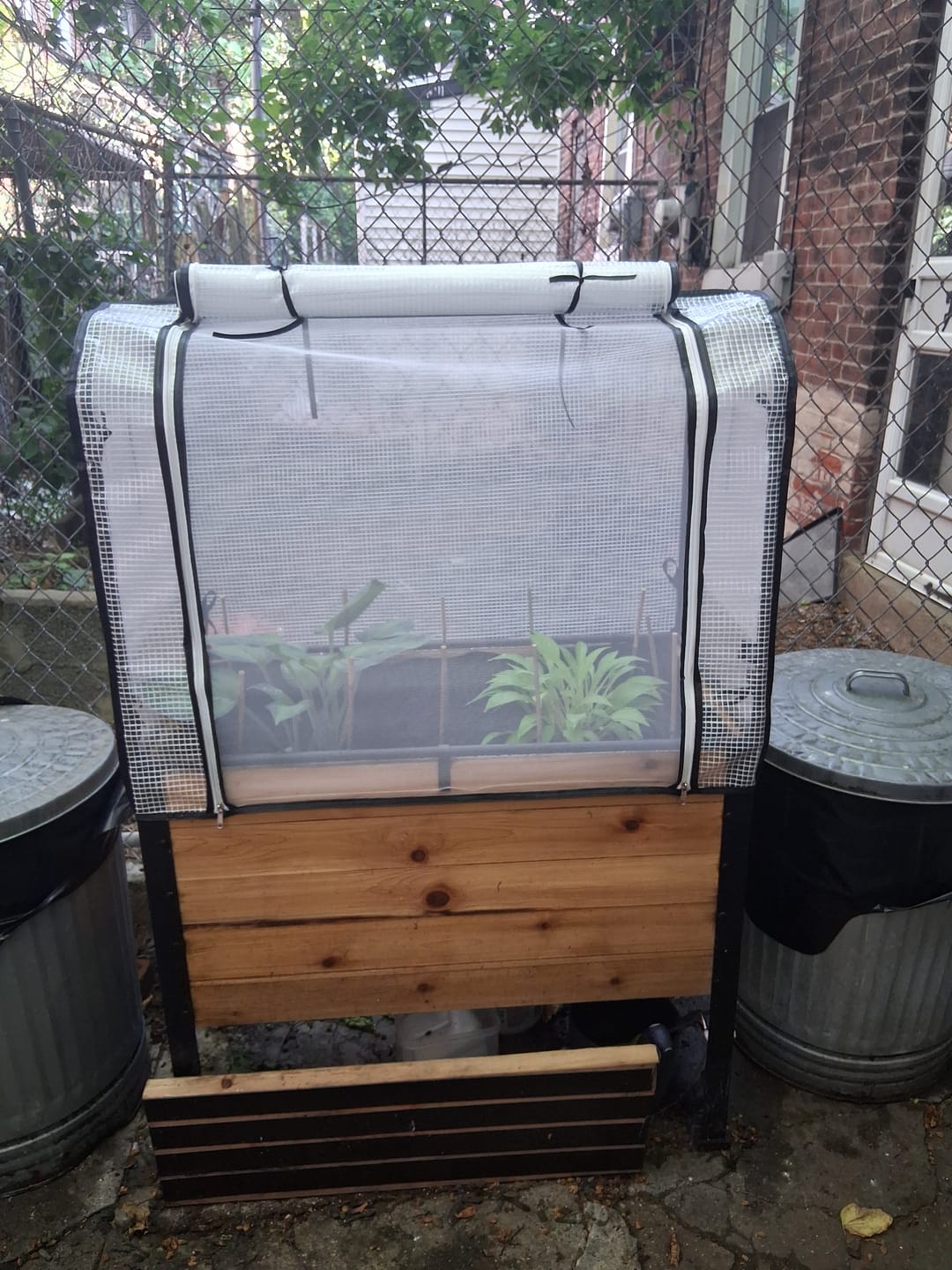 Customer photo review of Greenhouse Cover