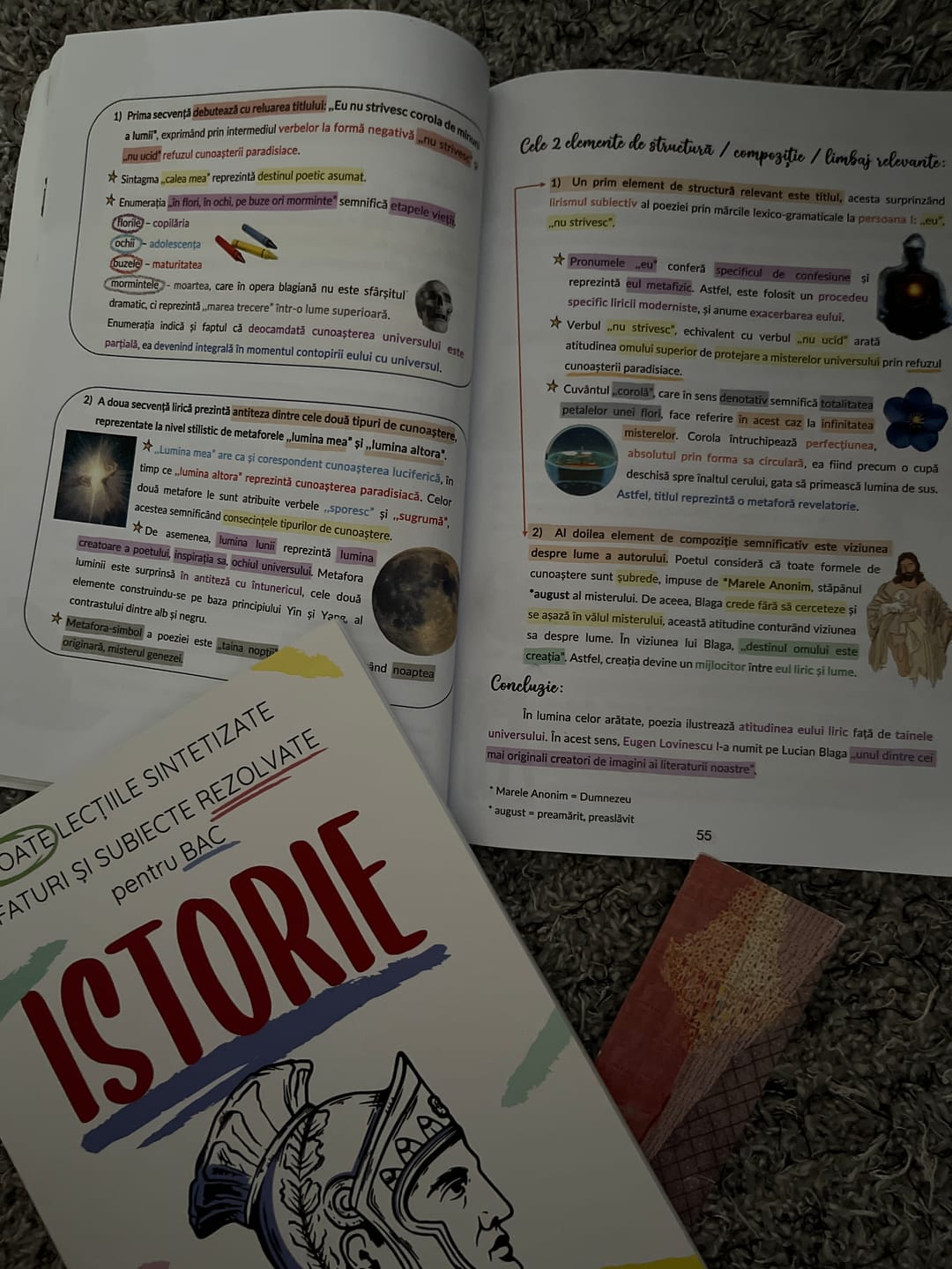 Customer photo review of Audiobook – Eseuri Audio BAC Română (temă și viziune, caracterizare, relație) + Quiz-uri