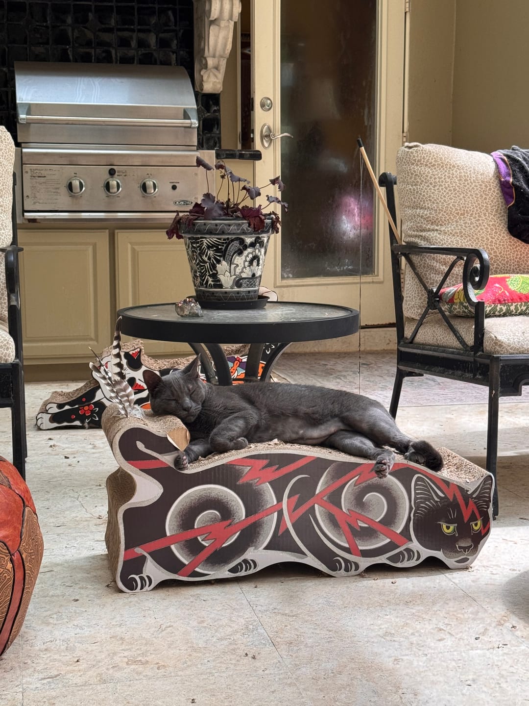 Customer photo review of Electric Cat Scratcher