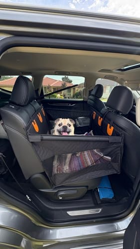 Customer photo review of MrBarks Single Seat Cover