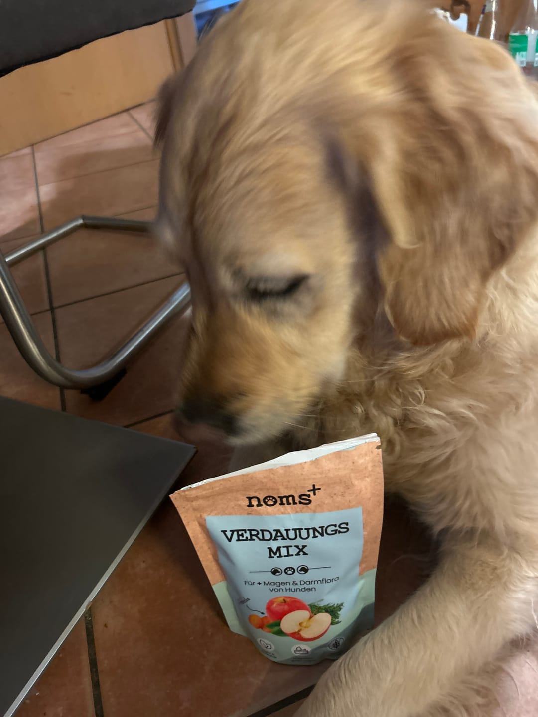 Customer photo review of Verdauungsmix für Hunde als Probiotikum für Magen- & Darmflora