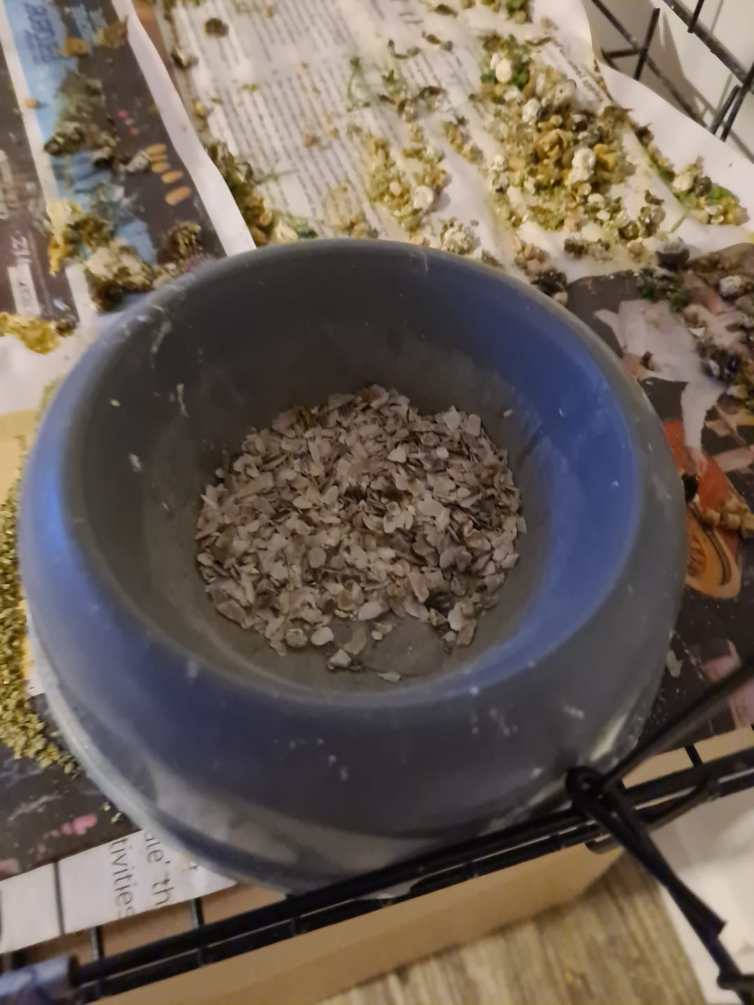 Customer photo review of Oyster Shell Grit 1.2kg