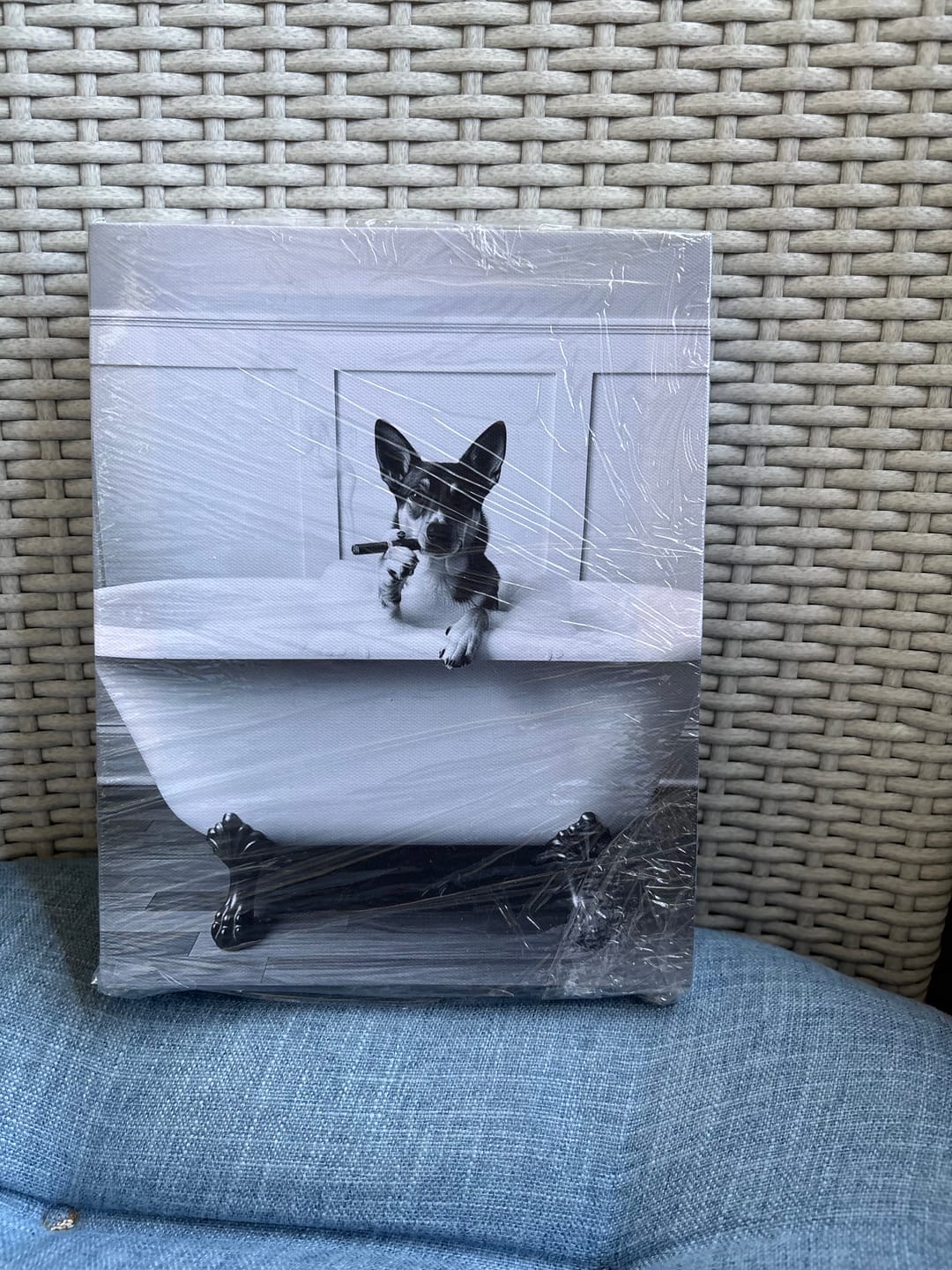 Customer photo review of Artzuzu Custom Portrait For Pets - Boss Bathtime