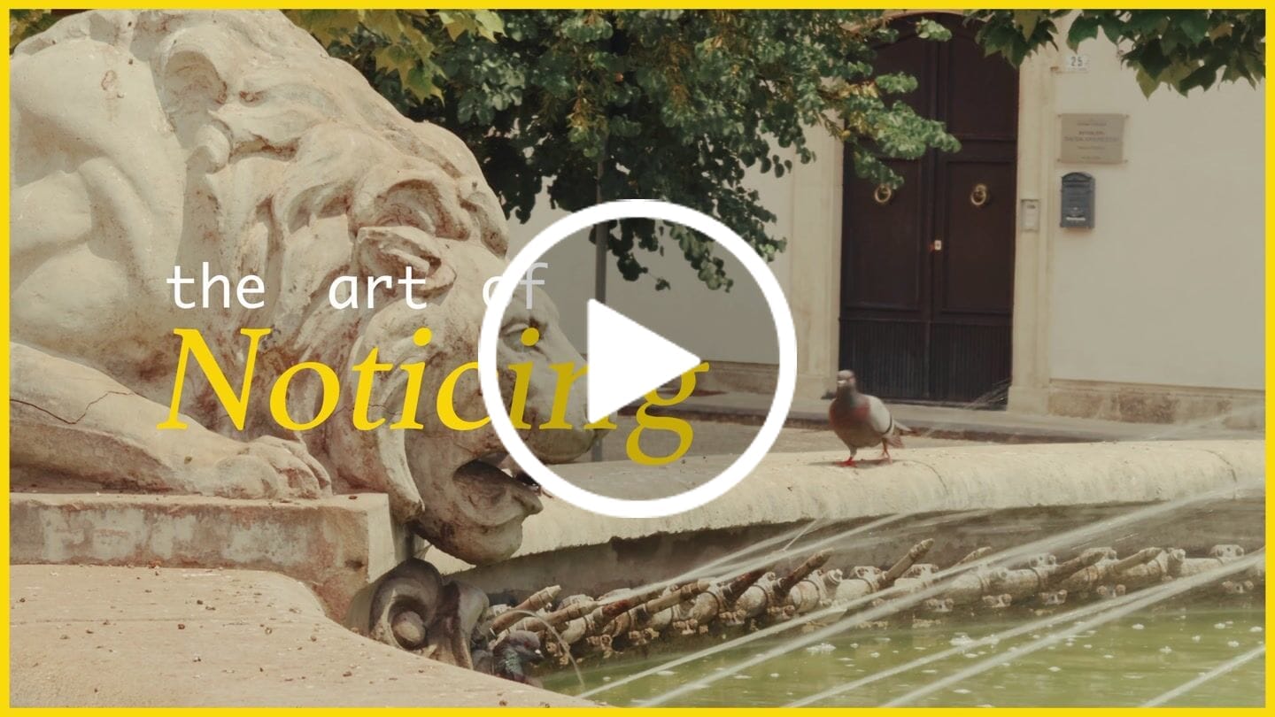 Customer video review of iPhone Apple Log LUTs