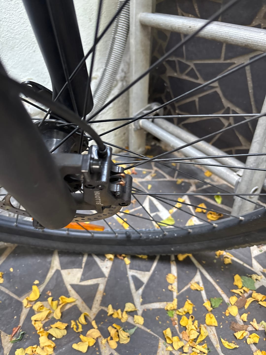 Customer photo review of DUOTTS Brake Pads & Hydraulic Brake