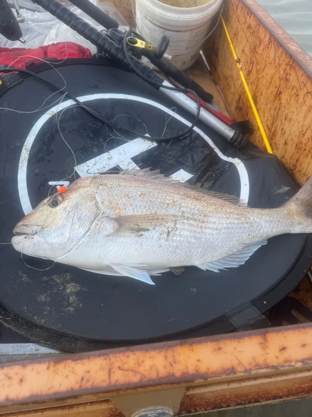 Customer photo review of Aeroo Pro Fishing Combo