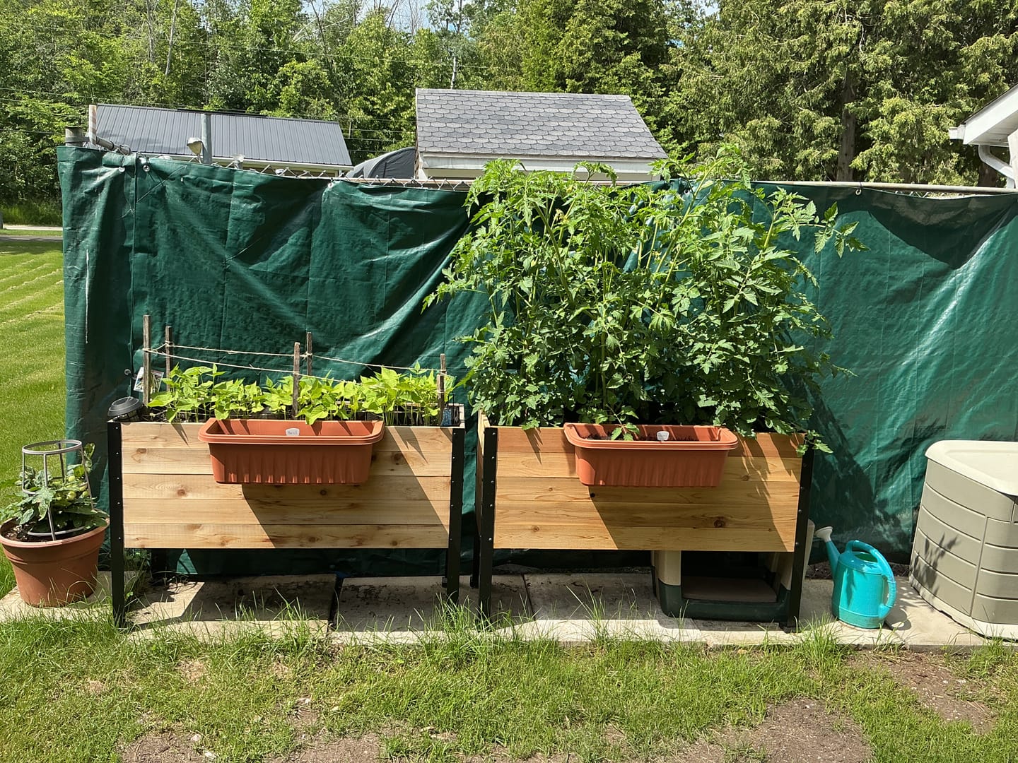 Customer photo review of Winter Covers for 30" Tall Raised Garden Beds