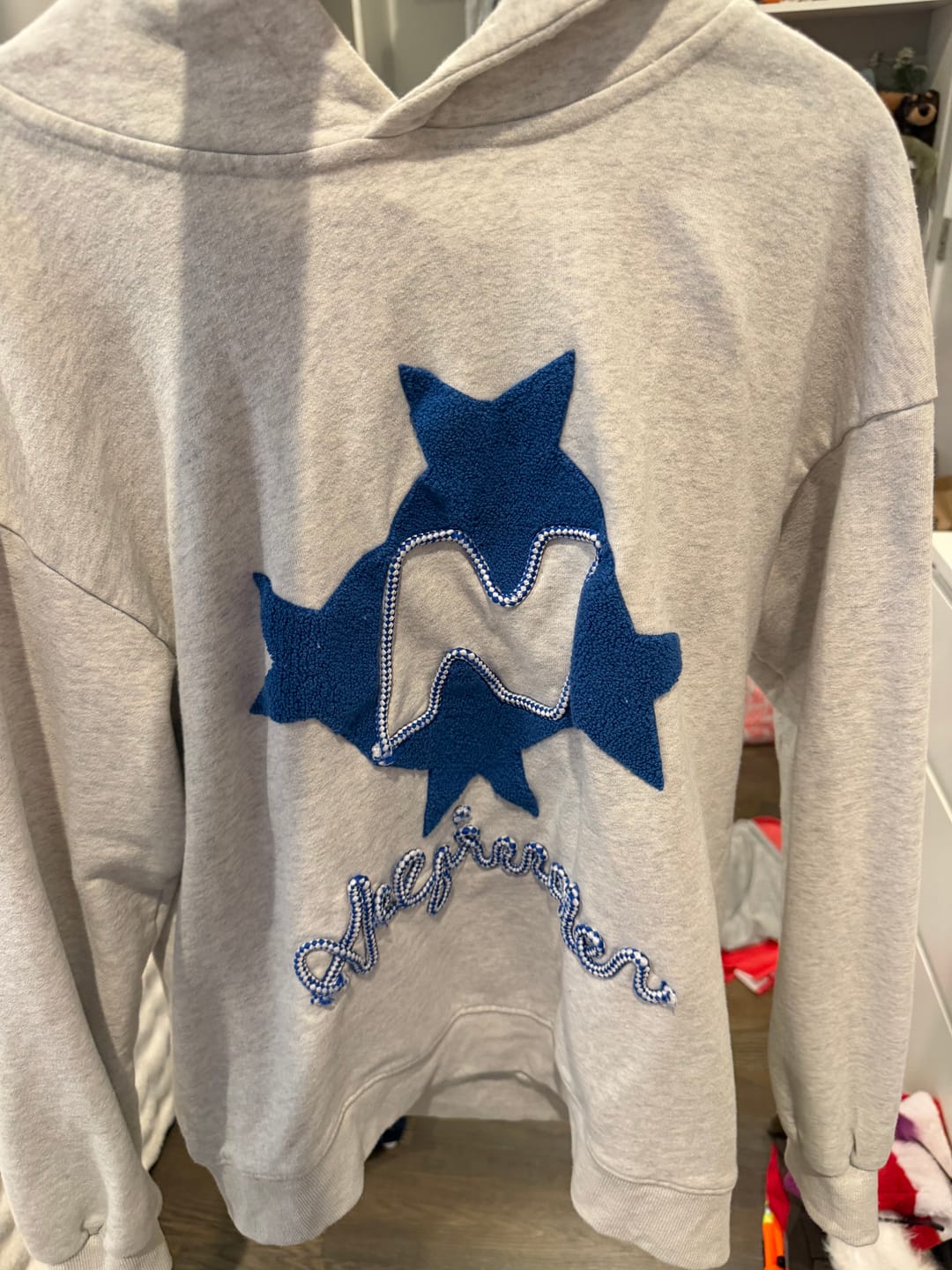Customer photo review of Aelfric Eden Stellaris Embroidered Hoodie