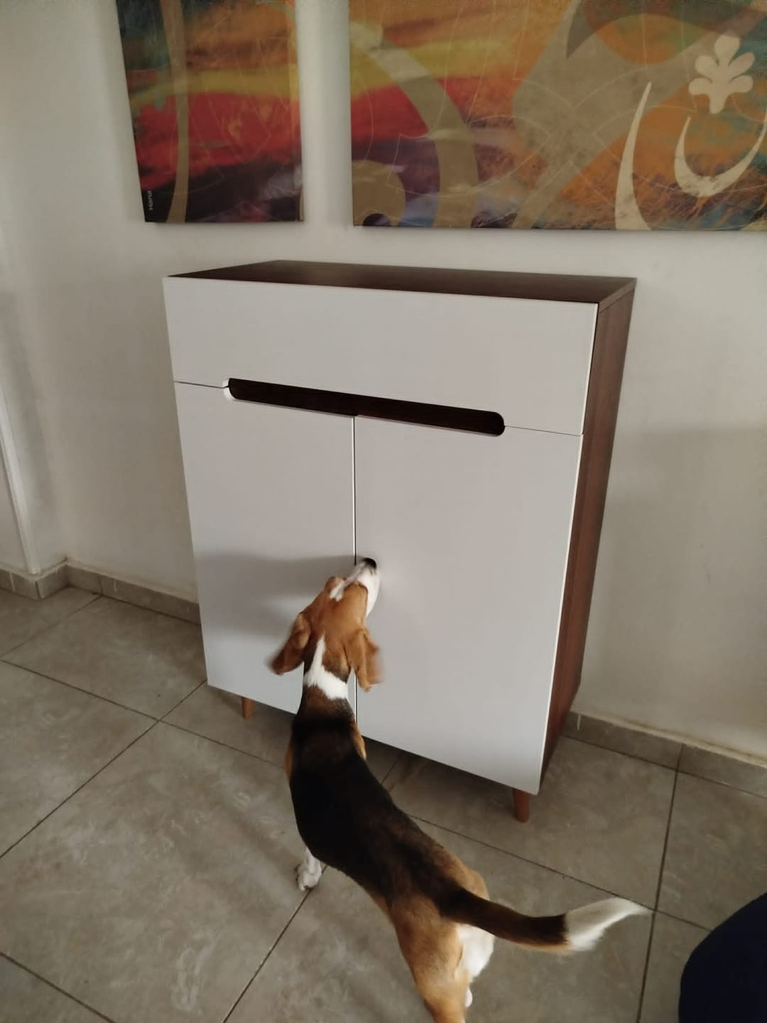 Customer photo review of Shoe rack with high beech legs