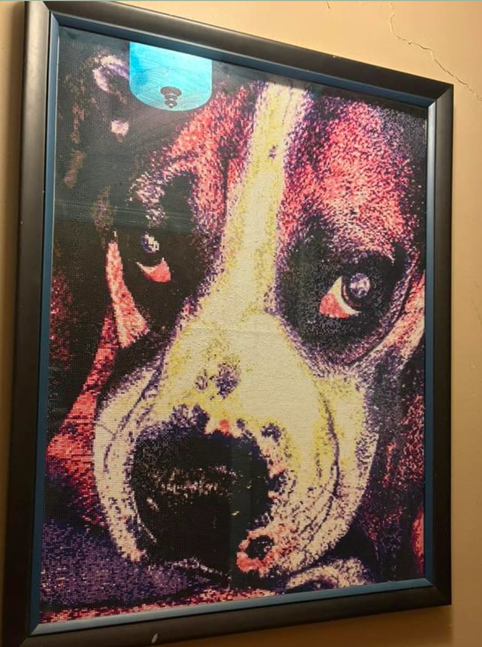 Customer photo review of Custom Paint by Number Kit