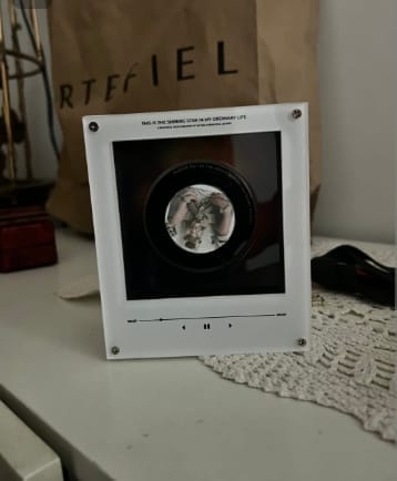 Customer photo review of SpinMuse™ Vinyl Music Box