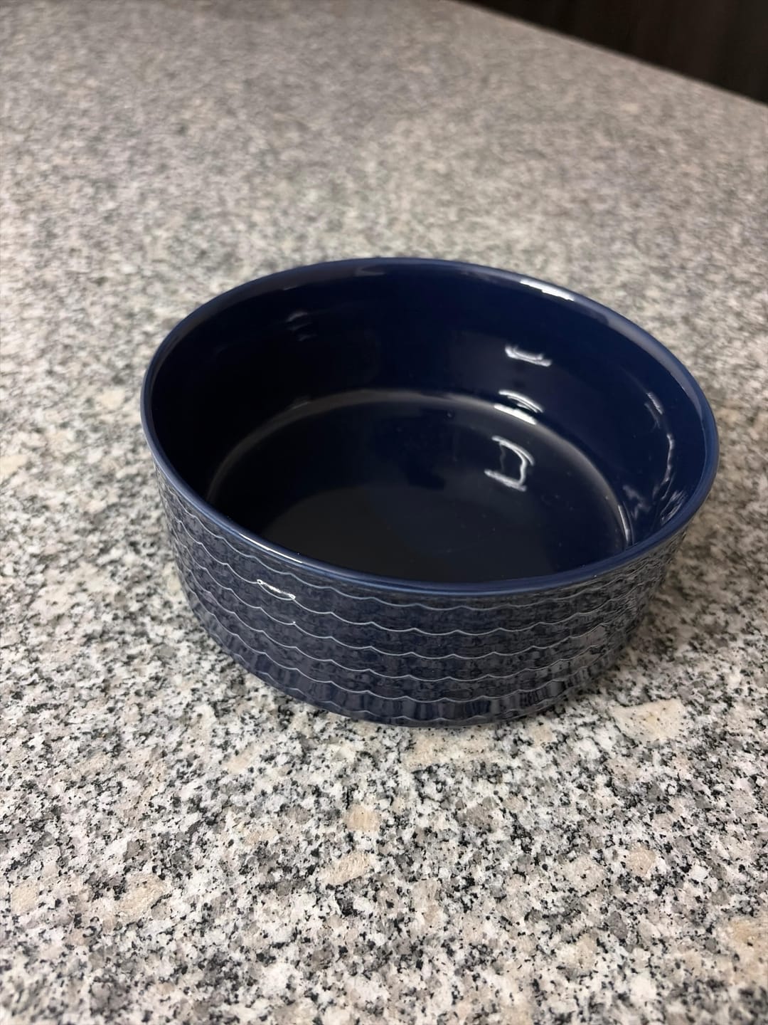 Customer photo review of Plato Cerámico Azul Marino para Perros y Gatos