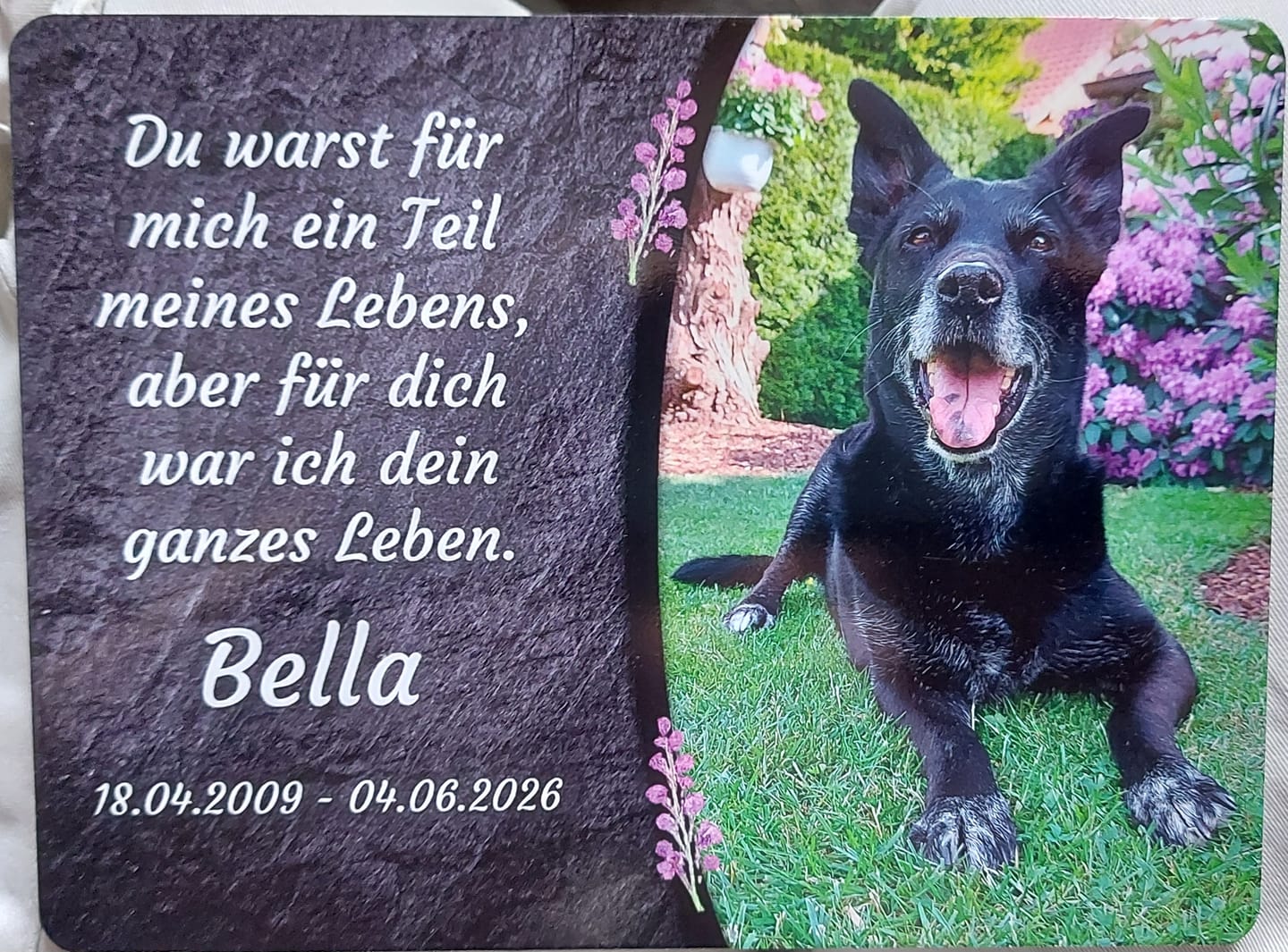 Customer photo review of Hunde Gedenktafel mit Foto & Spruch (UV- & Wetterfest)