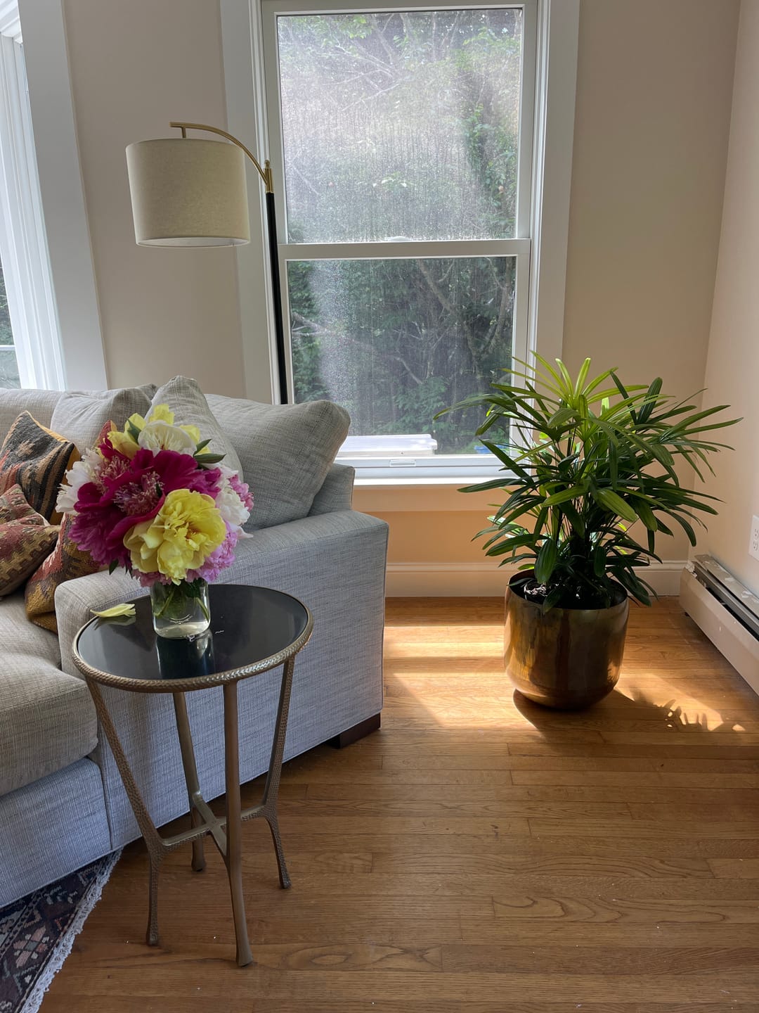 Customer photo review of Lady Palm, Rhapis Excelsa, Indoor Queen Palm