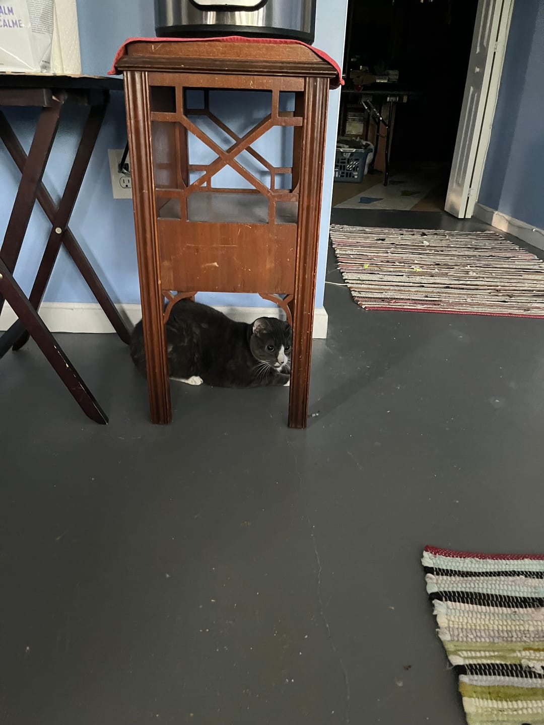Customer photo review of Royal Canin Veterinarian Diet - Urinary SO Aging 7+ Calm Cat