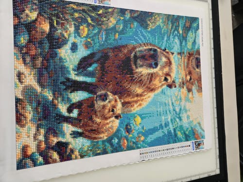 Customer photo review of Capybara Coral Voyage (Diamond Painting)