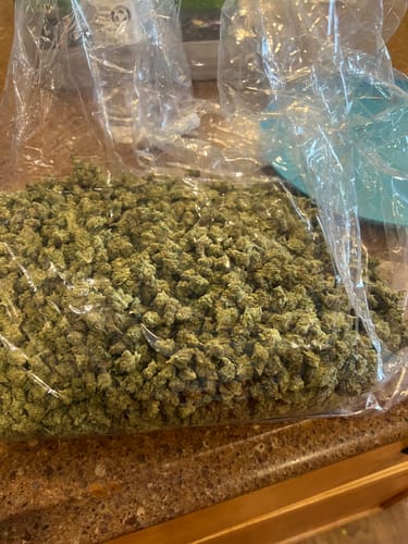 Chocolate Diesel Minis - Bulk Minis - Sativa photo review