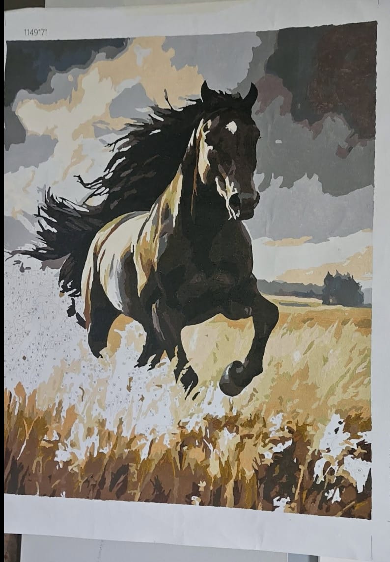 Customer photo review of Custom Paint by Number Kit
