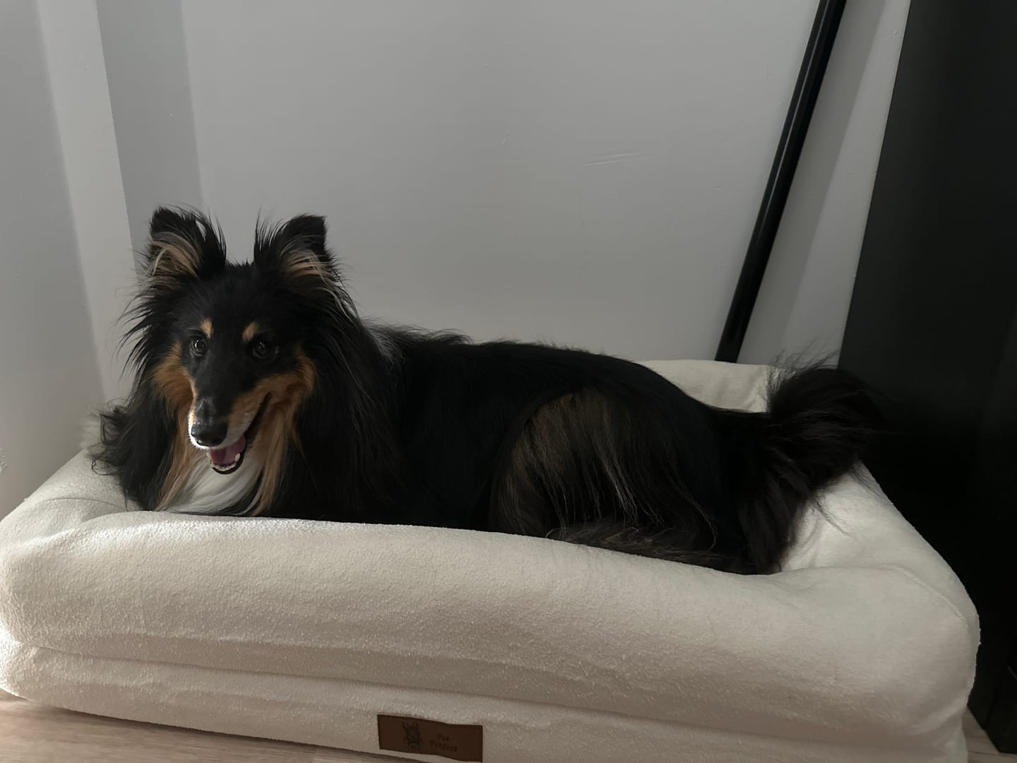 Customer photo review of Pet Perfect Orthopedische Hondenmand - Model 2