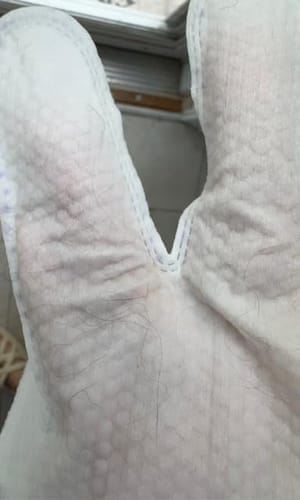 Customer photo review of Pet Gloove