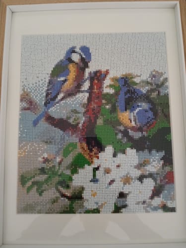 Ein Kunde zeigt sein fertiges und gerahmtes Diamond Painting 'Blauer Sperling'.