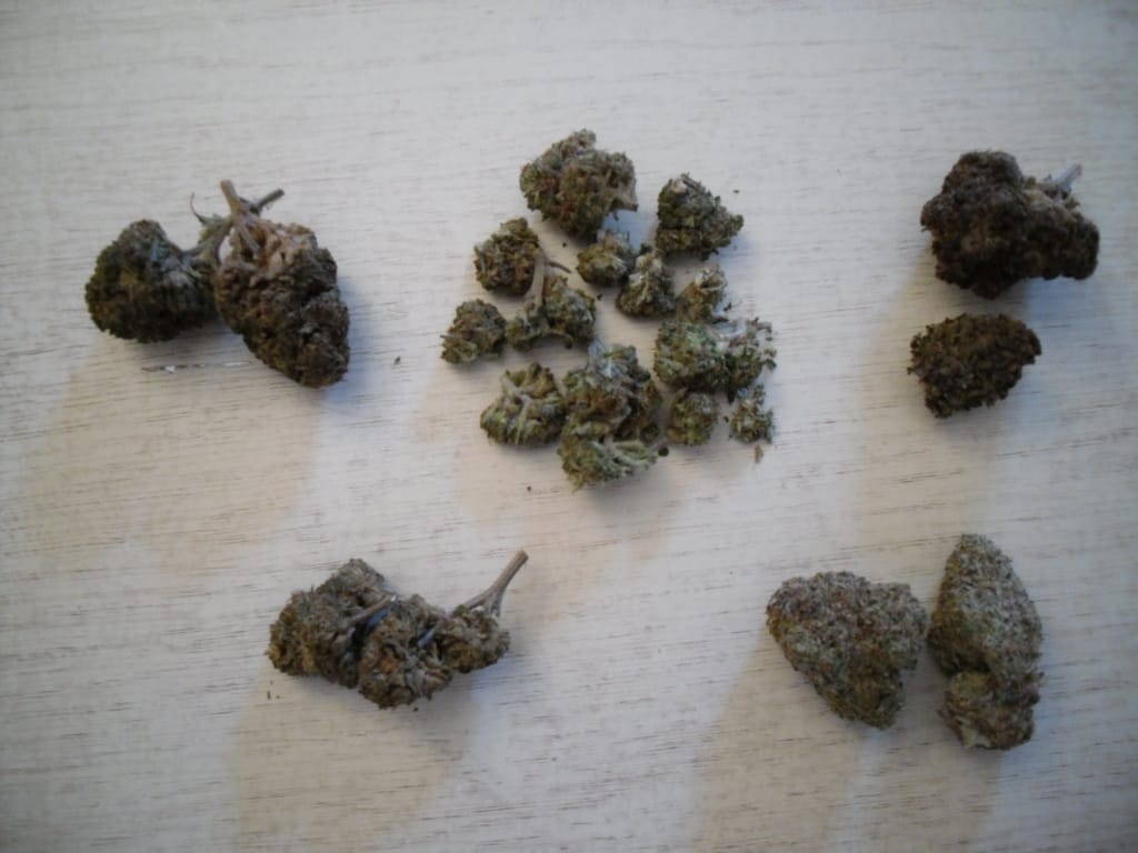 Customer photo review of 9H-HHC Blüten Signature Bundle – 5 Sorten, 25g | Best of 9H-HHC