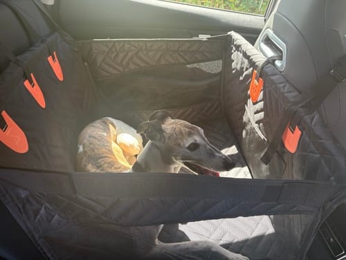 Customer photo review of MrBarks Single Seat Cover