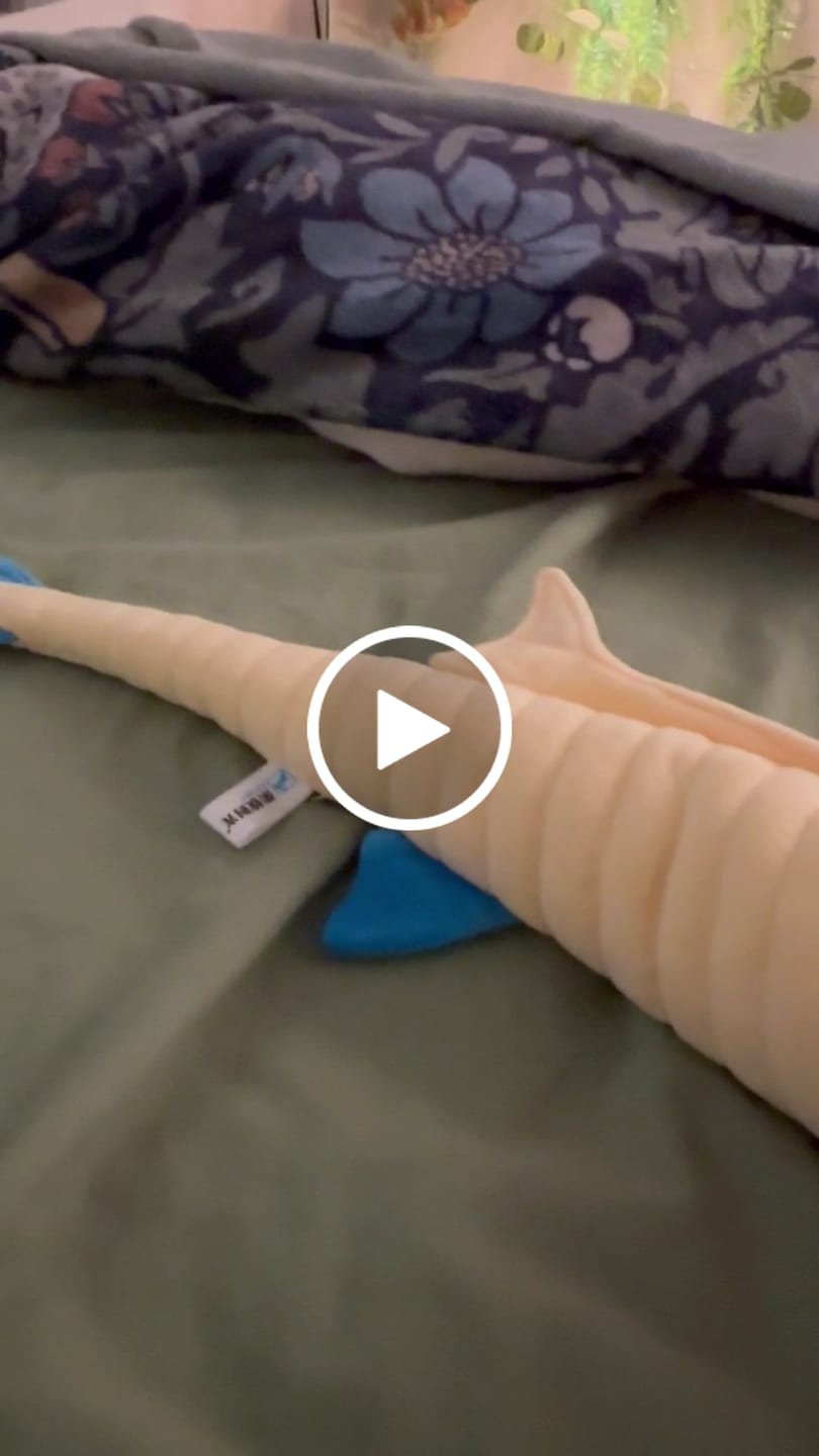 Customer video review of Sacabambaspis Prehistoric Fish Soft Stuffed Plush Toy
