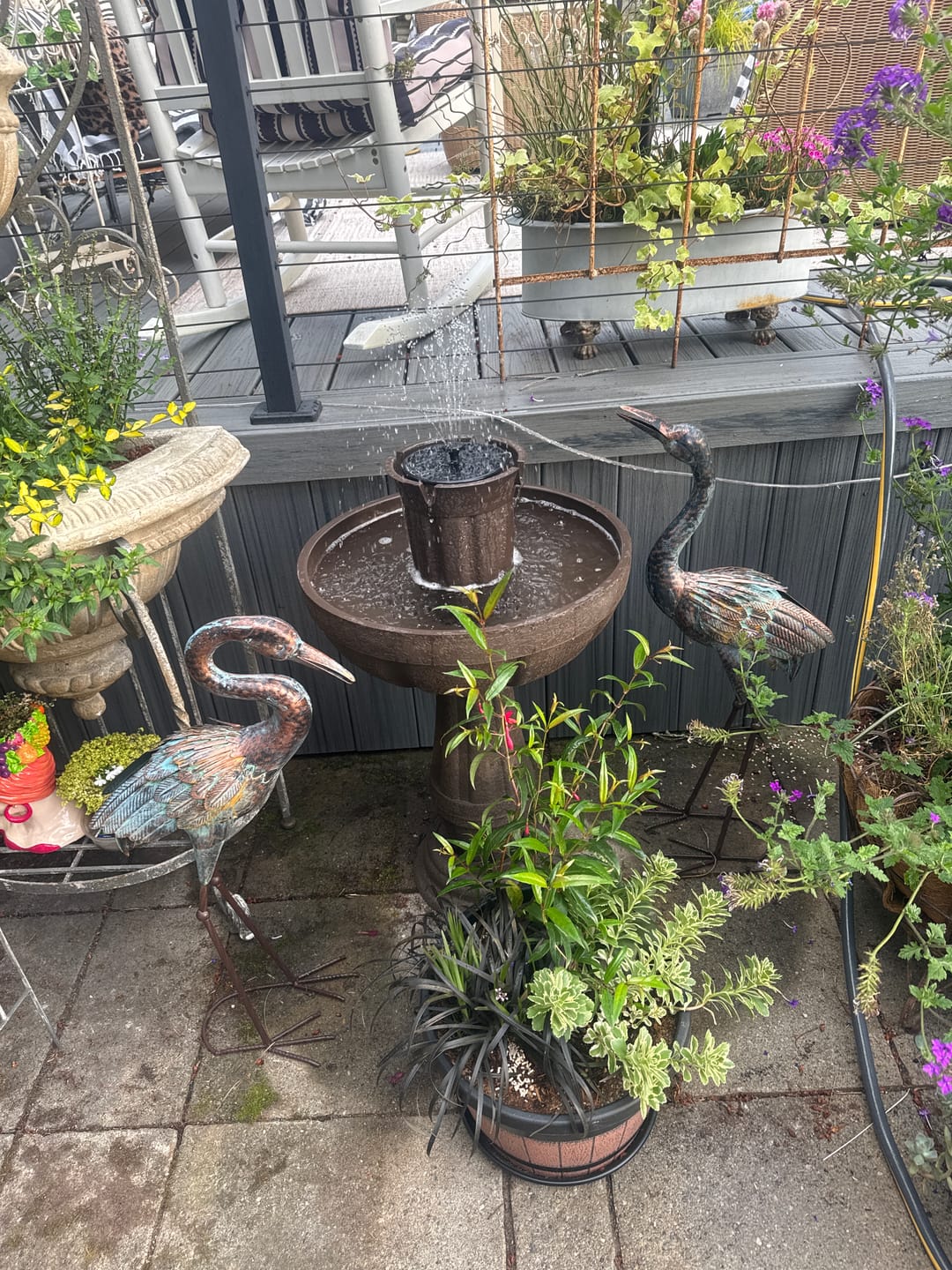 Customer photo review of Bari 5-In-1 Cordless Fluted Fountain