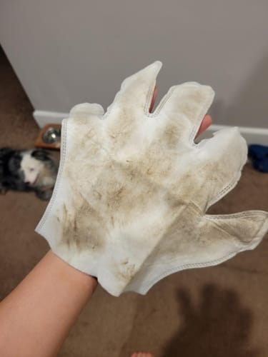 Customer photo review of Pet Gloove