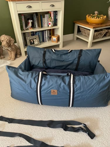 Customer's blue Dog Dock set up on a carpeted floor, with its backrest folded down and separate straps in the foreground.