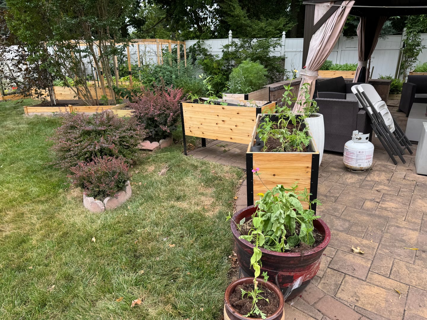 Customer photo review of 18" x 48" Raised Garden Bed - 30" TALL / Garden Grade