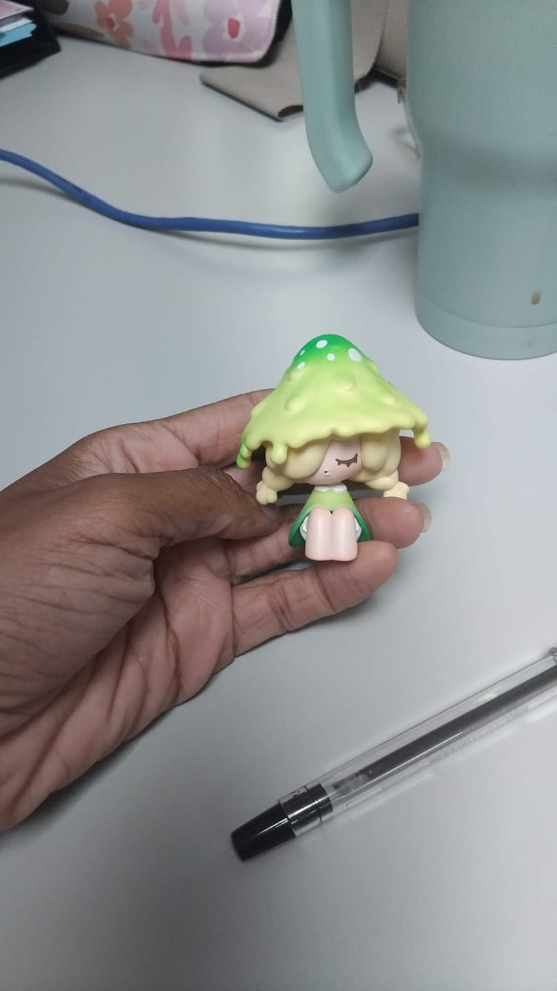 Customer photo review of Moogutong Little Mushroom Girl Series Blind Box