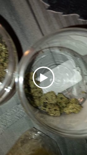 THCA Flower - Italian Ice photo review