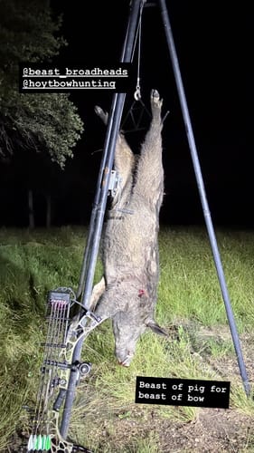Customer photo review of Cut on Contact Titanium Broadheads