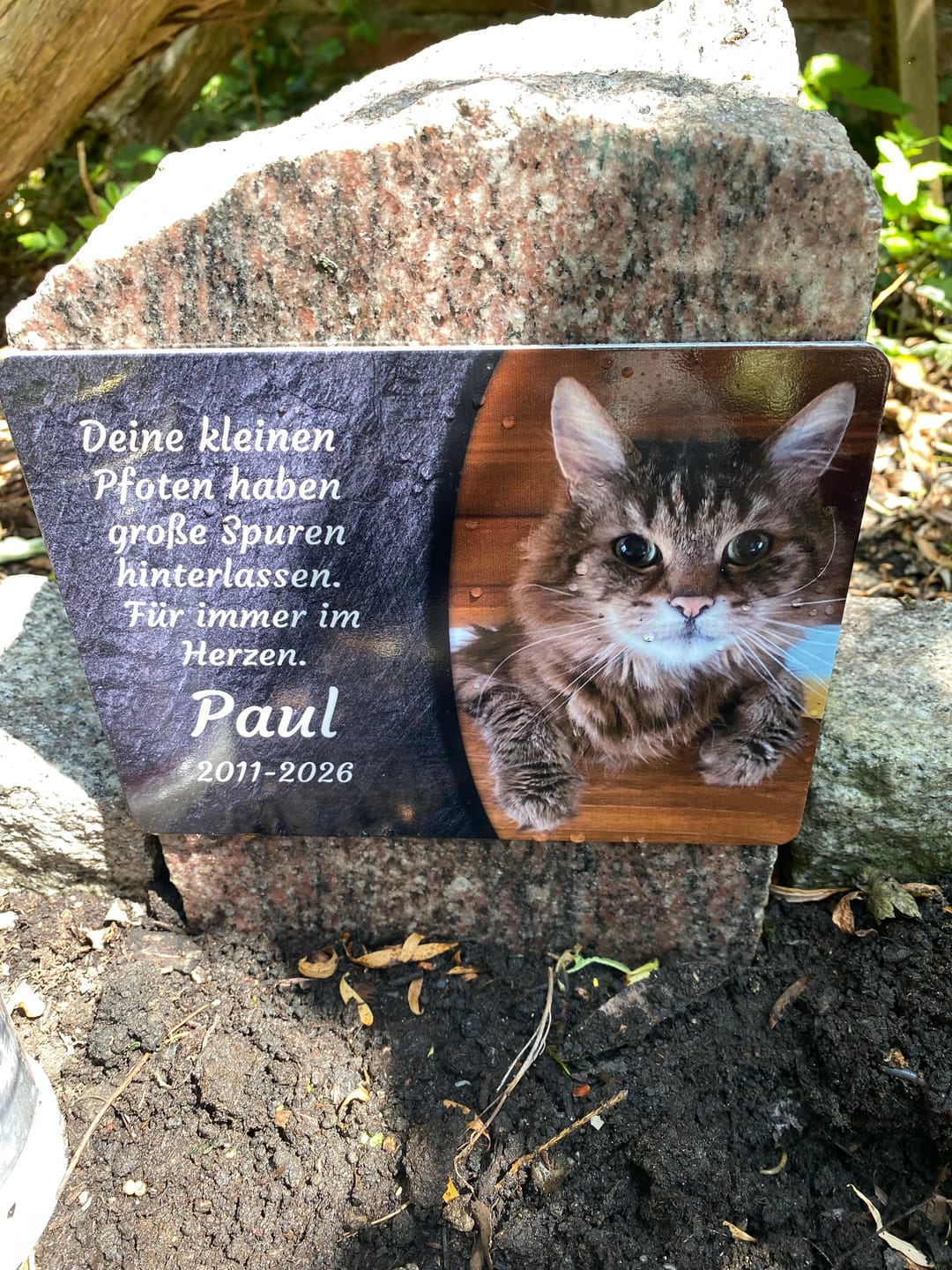Customer photo review of Katzen Gedenktafel mit Foto & Spruch (UV- & Wetterfest)