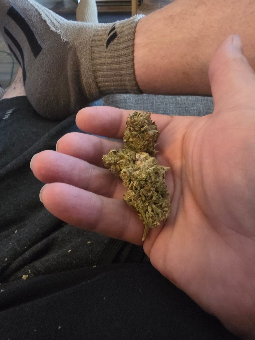 Customer photo review of GMO - 28 Grams - Indica