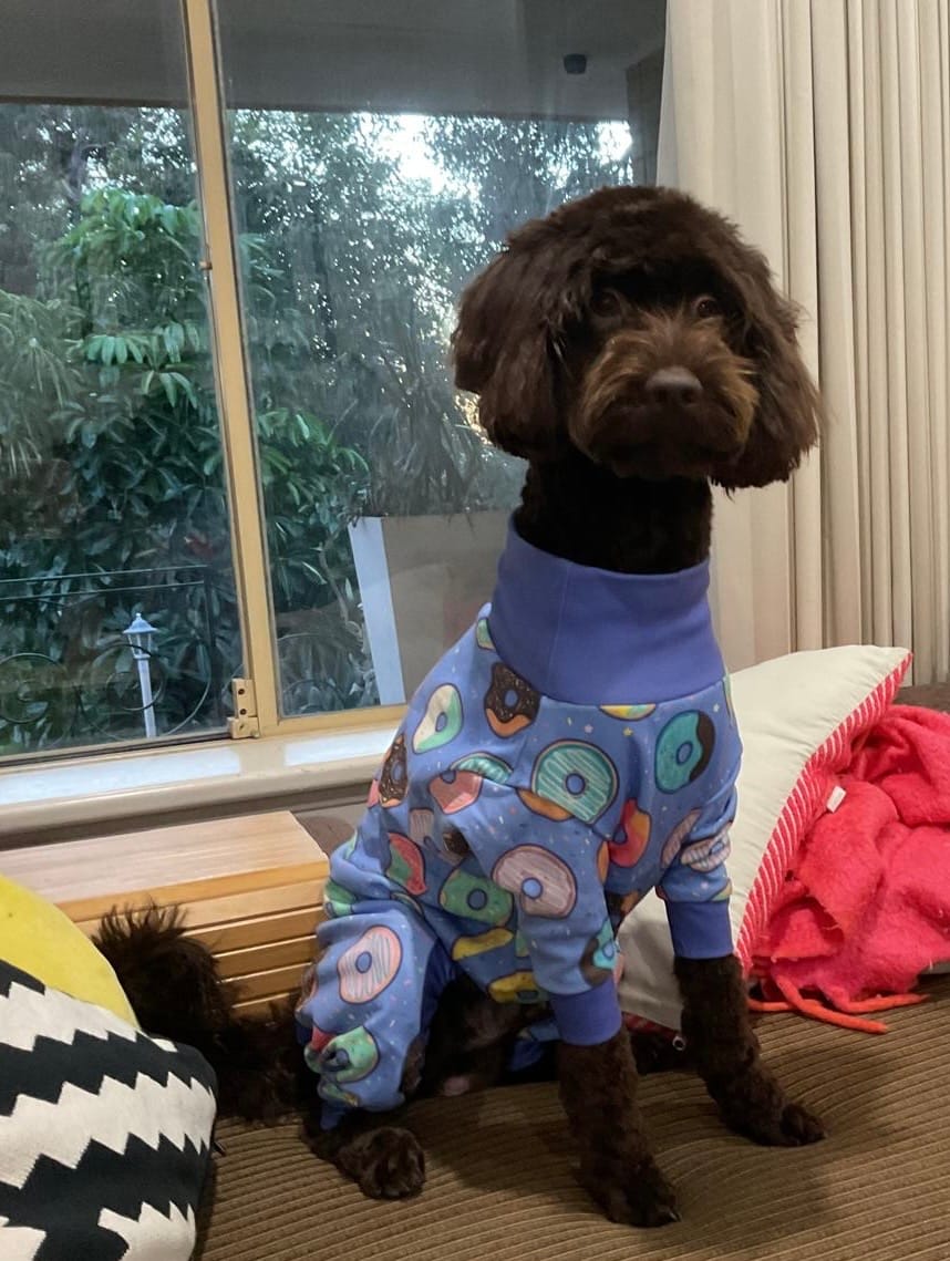 Customer photo review of Dog Pajama - Donuts