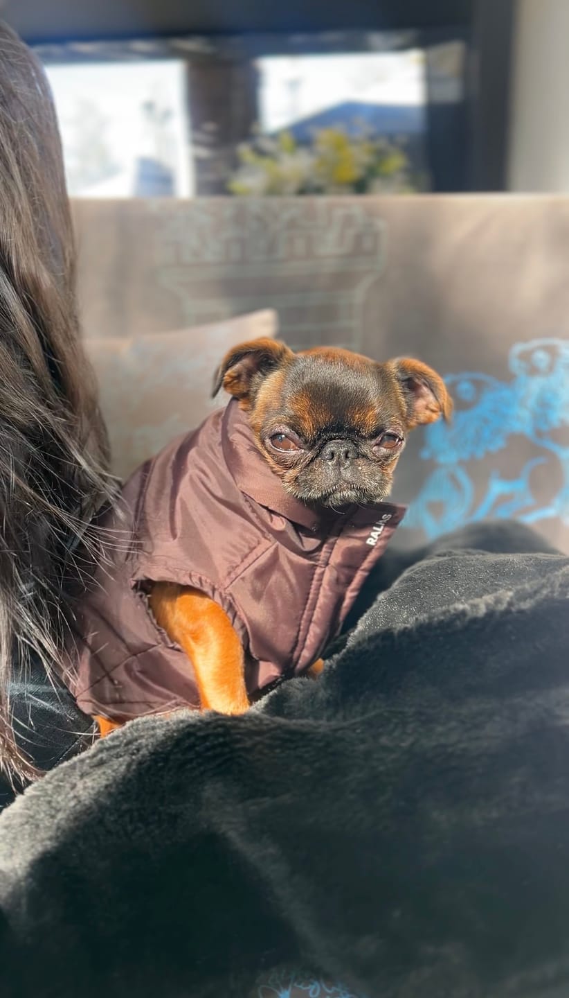 Customer photo review of Chaqueta Puffer de Invierno – Chocolate