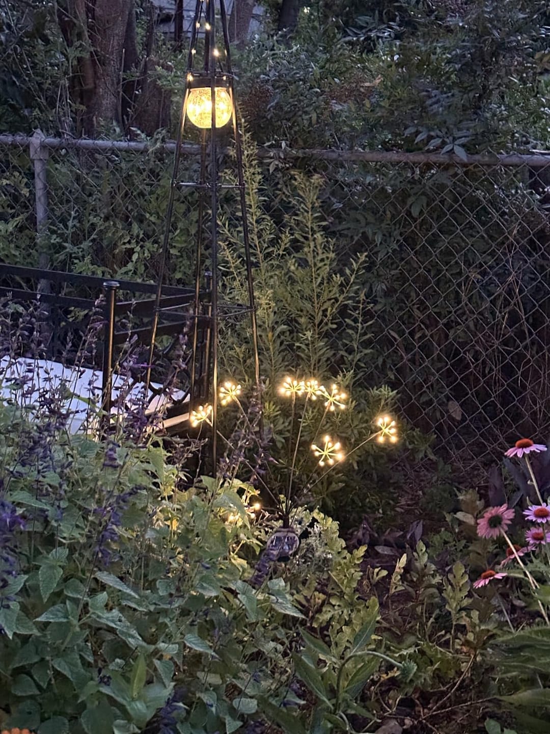 Customer photo review of Dandelion Solar Lawn Light