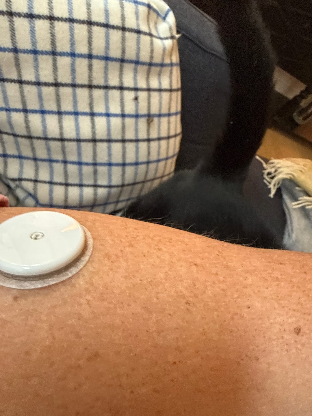 Customer photo review of Freestyle Libre 2 Sensor Type 2