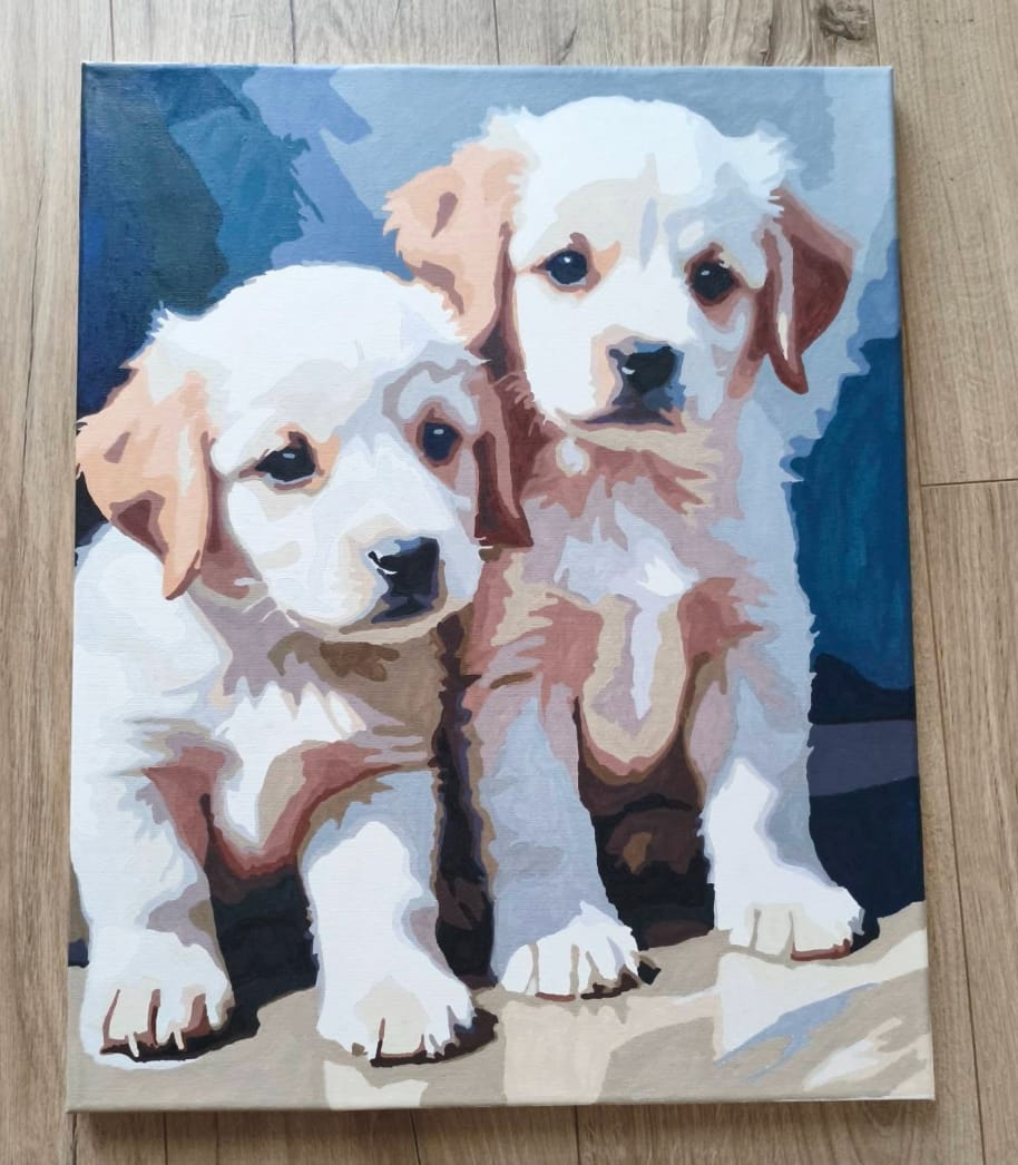 Customer photo review of Custom Paint by Number Kit