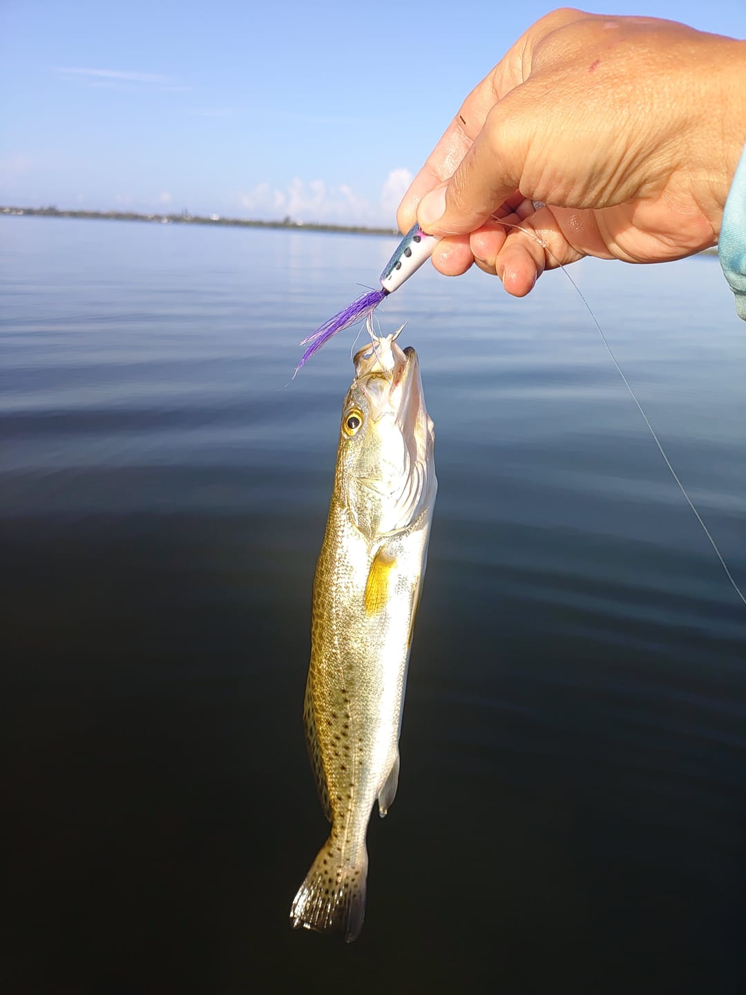 Customer photo review of Purple Salty Saltwater Popper
