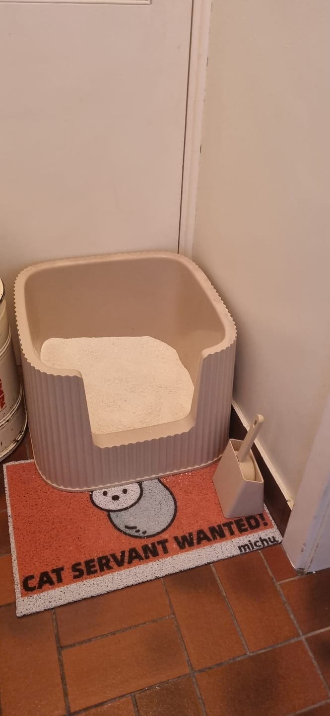 Customer photo review of Michu Wonder Litter - Plant-Based & Automatic-Box Friendly 2.5kg/6L