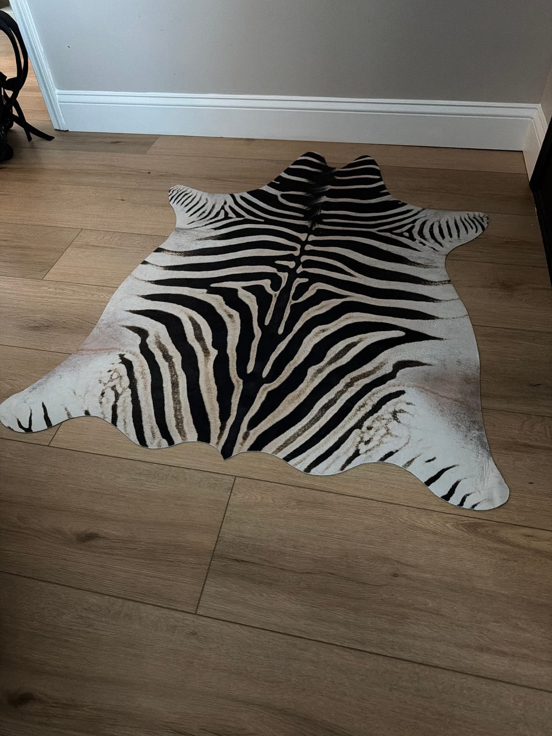 Customer photo review of Jungle Zebra Rug