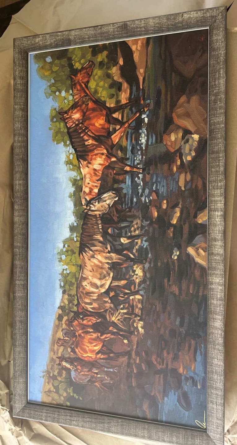 Customer photo review of Last Light River Crossing